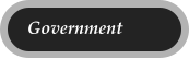 Government